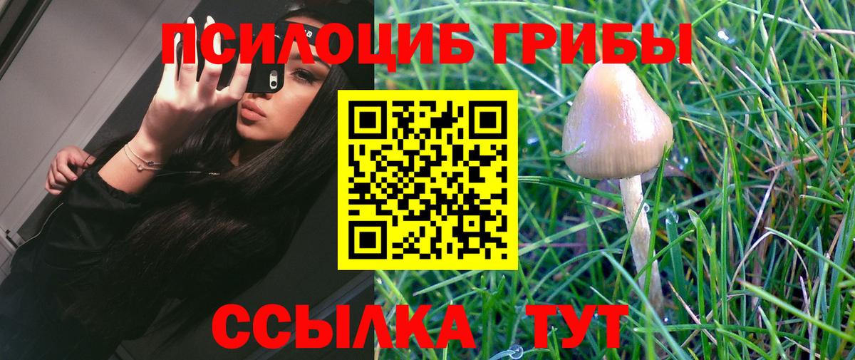 Псилоцибиновые грибы MAGIC MUSHROOMS  Вход с VPN  Рыбинск 