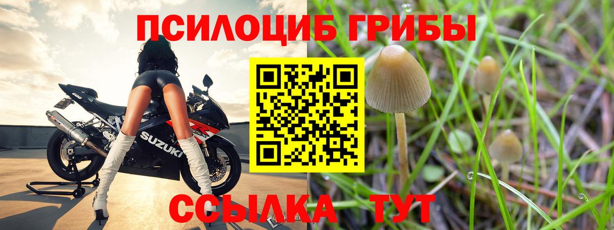 Галлюциногенные грибы ЛСД Рыбинск